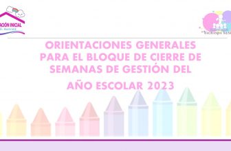 Directiva Regional 020- 2023-GRP-GRDS/DREP-DGP