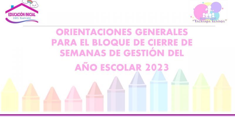 Directiva Regional 020- 2023-GRP-GRDS/DREP-DGP